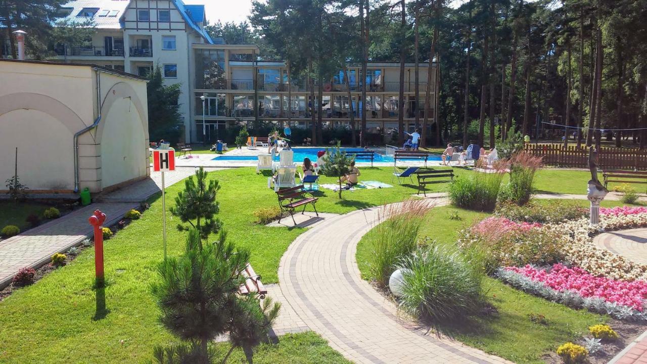 Blue Mare U Tomka Łukęcin